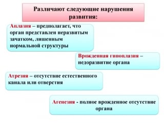 Аномалии развития женских половых органов