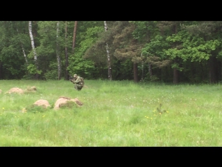 Видео от багратион