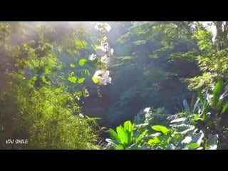 Видео эротика no porno dmitry glushkov hold you (extended mix) (сексуальная, приват ню, тфп, эротика, фотограф nude, sexy)