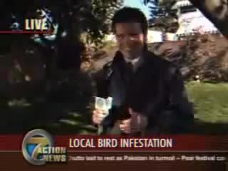 Bird shits in reporters mouth