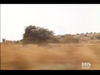 La donna della luna (1988)