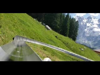 I hiked up because i only only had the money for one toboggan ride or the gondola up and down i made the right choice