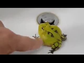 Дорогая, ты ещё злишься? (vhs video)