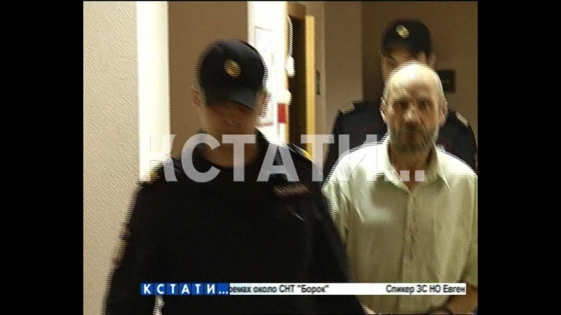 Подозреваемый в молодые, похитивший третью маленькую девочку, задержан