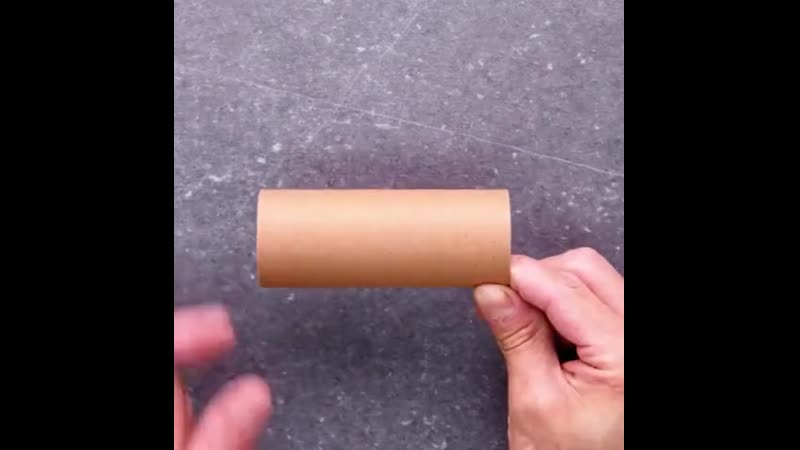 Не стоит выбрасывать втулки от туалетной бумаги