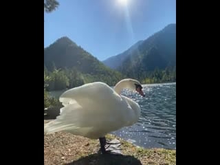 Ozera club 20200907 220714 0 mp4