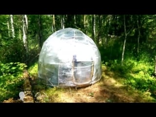 Лесной купол адвоката егорова bushcraft dome of twigs and stretch film