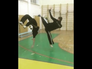 Trepadeira e vara seca