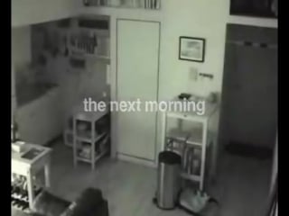 After hearing strange noises at night, he put a hidden camera in his kitchen this is what he found!