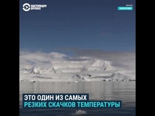 В антарктике выдалось критично теплое лето