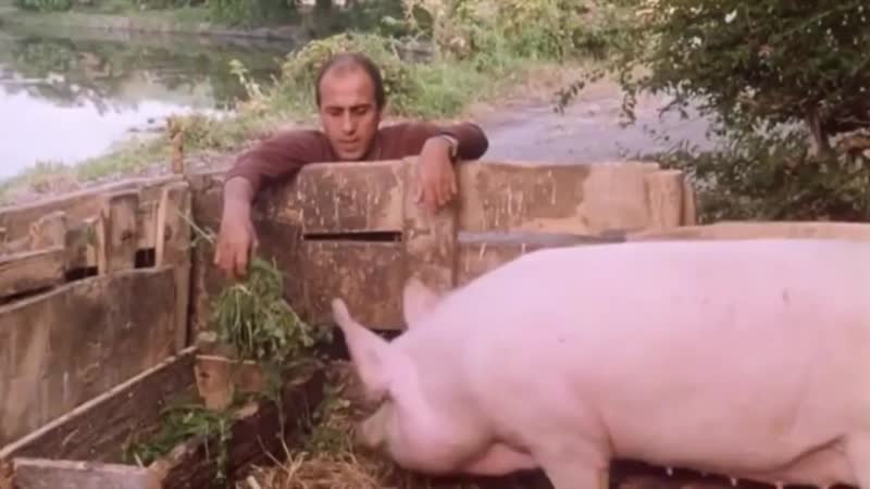 Неотразимый адриано челентано