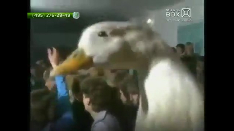 Ласковый май (андрей разин) гадкий утёнок (music box)