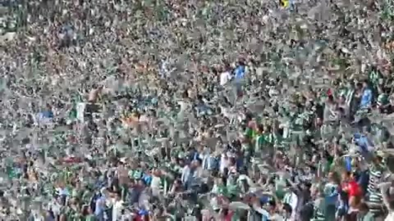 Bursaspor fans 2