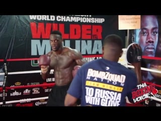 Deontay wilder training for a fight with alexander povetkin (hd)