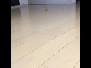 Jimin as soon he hears namjoon starting his vlive￼