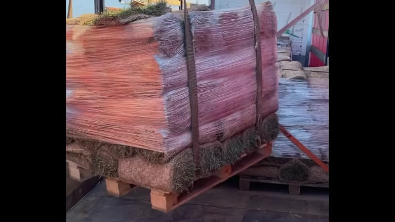 Газон porn video – Рулонный газон
