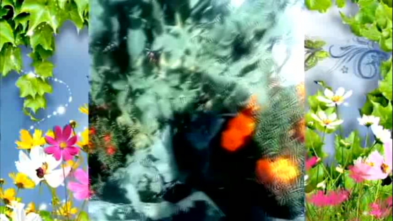 Фильм молодые сад и природное земледелие секс сад екатеринбург | ботаника | химмаш | юго запад