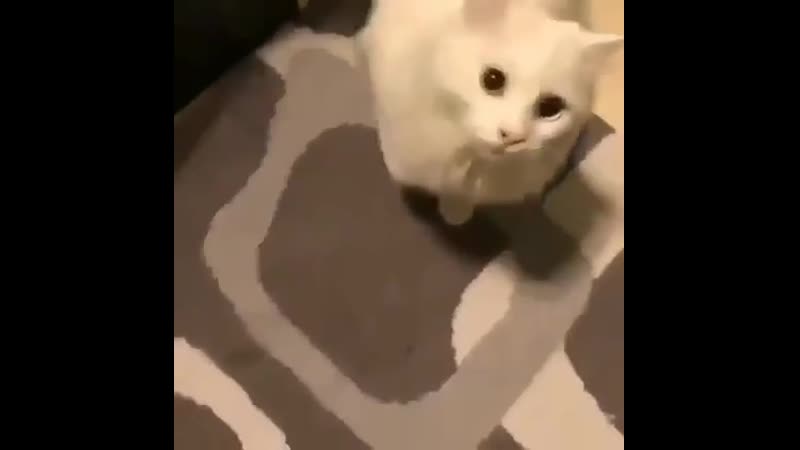 Наезд на снежка