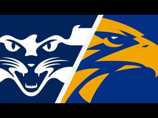 Австралийский футбол geelong cats west coast eagles (женщины)