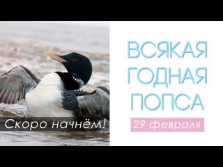 Live всякая годная попса