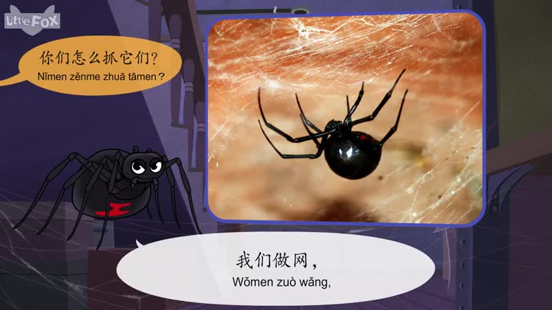 Meet the porn 17 black widow spider (认识动物 17：黑寡妇蜘蛛) level 2 chinese by little fox
