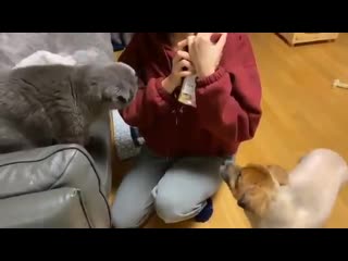 200130 instagram bbosong nanan porn