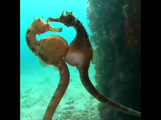 17 12 2019 video 3170 mp4