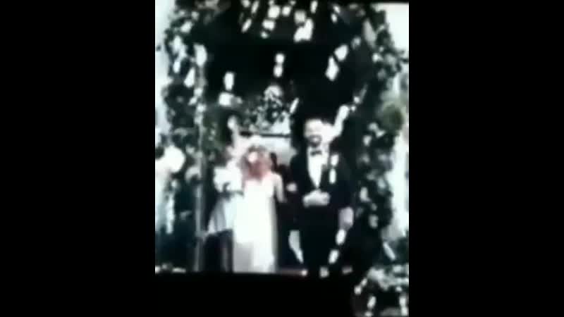 365dni br 20200209 4 mp4