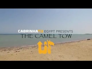 Nick jacobsen – the camel tow up