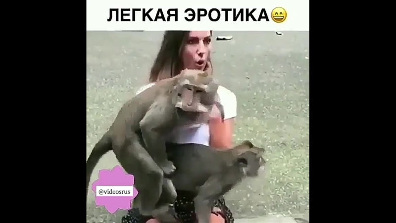 Сфоткалась с обезьянкой