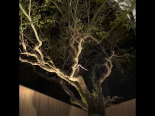 Ротэнбуро в neold private house