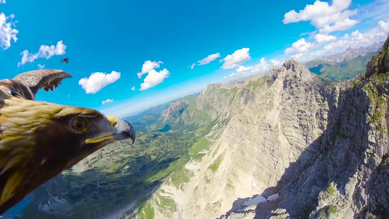 Вид на альпы с высоты птичьего полёта