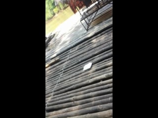 Vid 20171009 132200 mp4