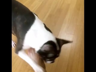 160828 seogoong instagram video update