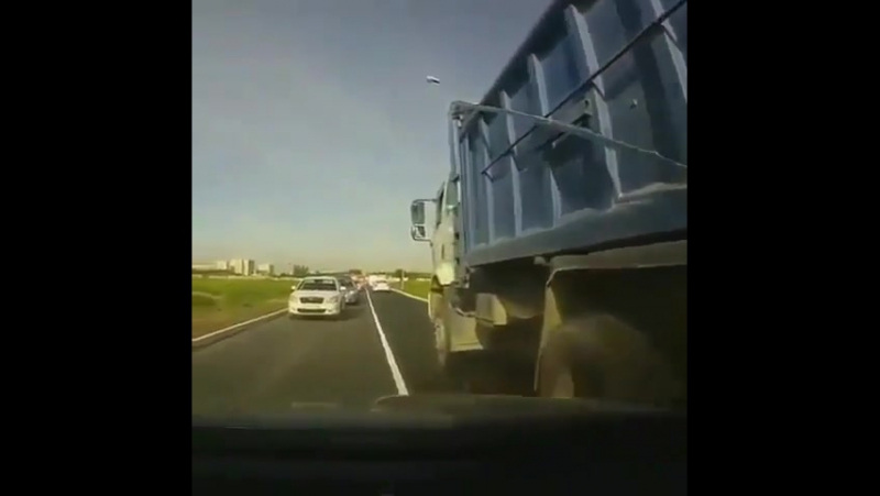 Сборище оленей