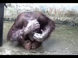 Шұлықтар, колготки және трусиктер: эротикалық фотосуреттер