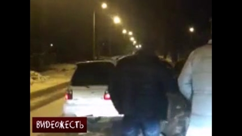 Против лома есть приемы! оса © видеожесть