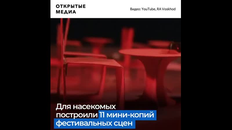 В екатеринбурге прошёл музыкальный фестиваль для муравьёв