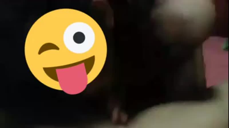 Binor lagi selingkuh, muka di