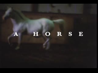 A horse is not a metaphor (2009) dir barbara hammer