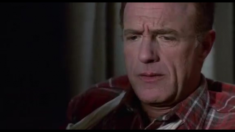 1990 porn video – Misery (1990)