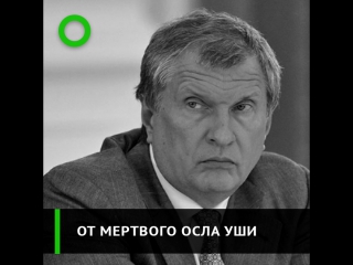 «роснефть» потеряла миллиард долларов в ираке как?