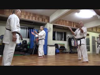 Morio higaonnas karate practice #7 kata shisochin 東恩納盛夫先生の鍛錬その7