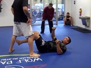 Frankmir calf slicer avi