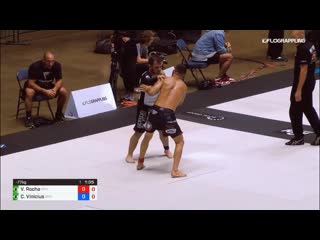Vagner rocha vs celso vinivius #adcc2019