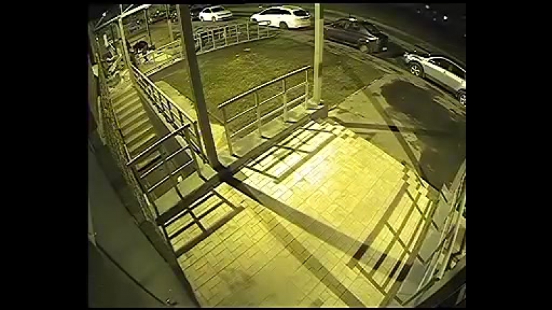 Поджигателей новостройки в петербурге вычислили через мобильное приложение