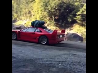 F40 off roading 😱