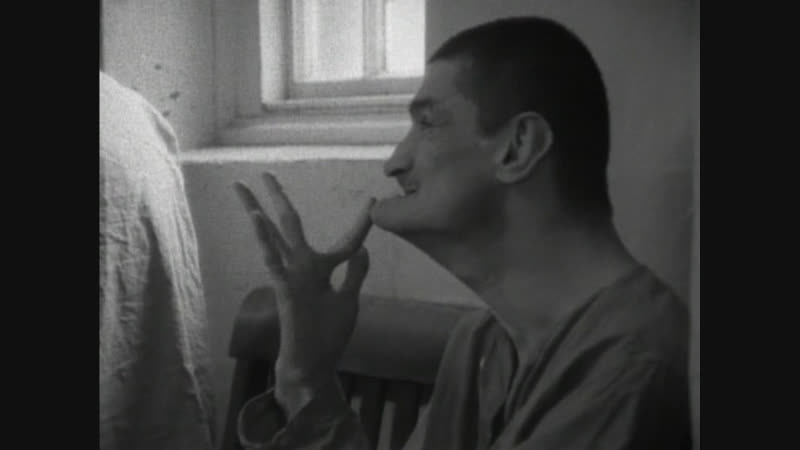 Безумцы титиката / titicut follies (1967)