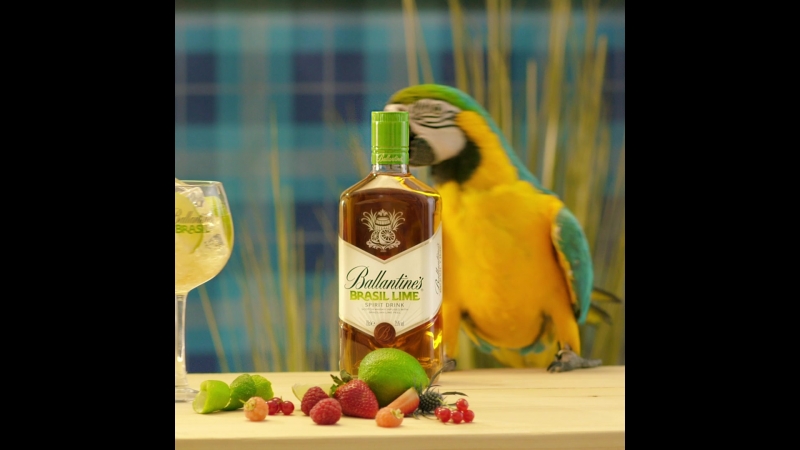 Lime porn video – Brasil lime