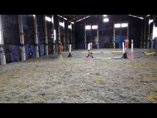 Vid 20201221 134954 mp4